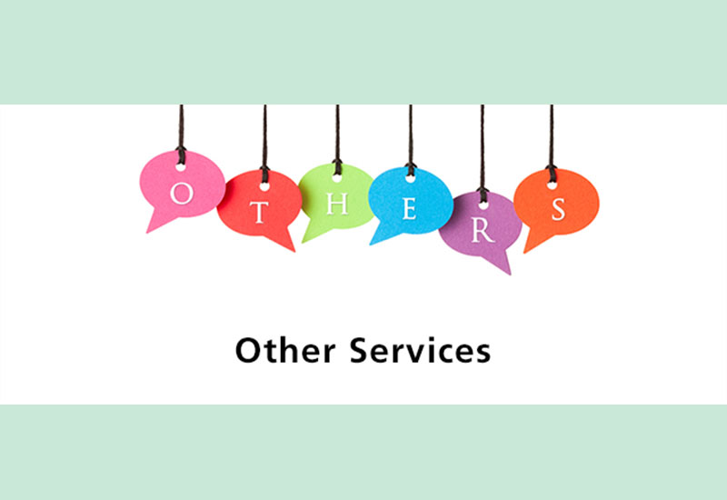 Other painting and renovation services